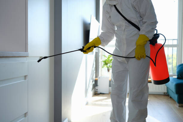Best Residential Mold Remediation in Douglas, AZ